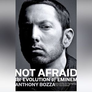 Not Afraid The Evolution of Emenem